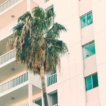 Drive Direct: Best Practices for a High-Performing Website